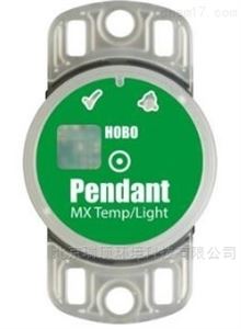 MX2202温度/光照记录仪