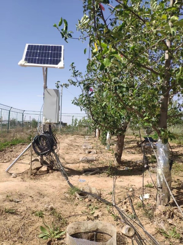 新型植物原位水势测量系统于太原理工大学太谷实验基地安装培训完成