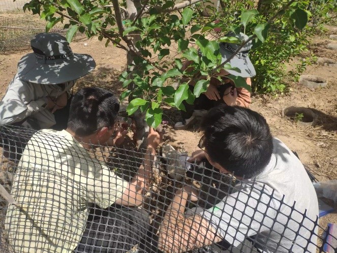 新型植物原位水势测量系统于太原理工大学太谷实验基地安装培训完成